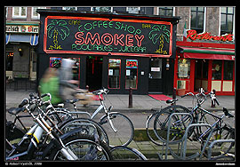 Amsterdam, na kole i do coffeeshopu.
